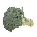 Brócoli » al peso