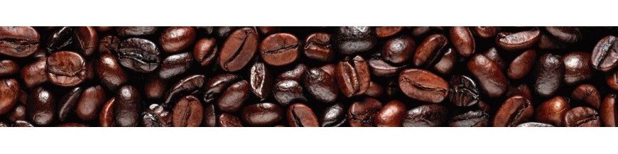 Café y Cacao