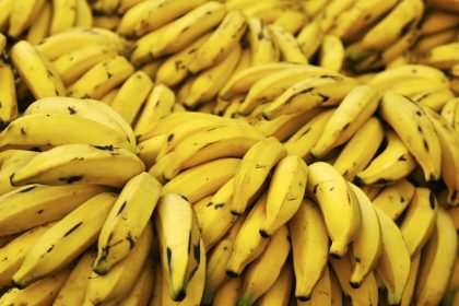 platanos.jpg platanos.jpg