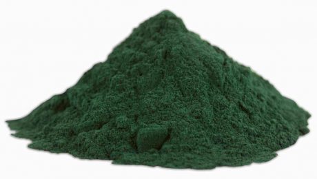 algas-chlorella.jpg