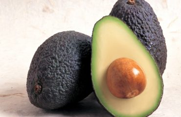 aguacate.jpg