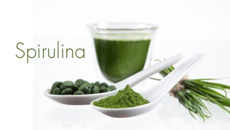 2spirulina.jpg