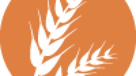 gluten